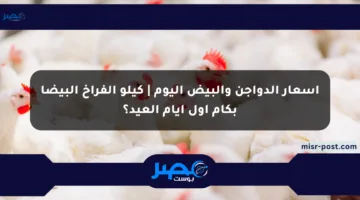 أسعار الدواجن والبيض اليوم | كيلو الفراخ البيضا بكام أول أيام العيد؟